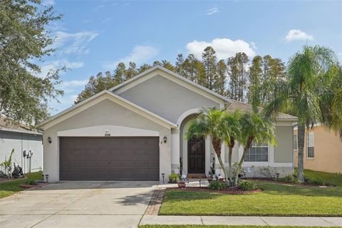 A home in LAND O LAKES