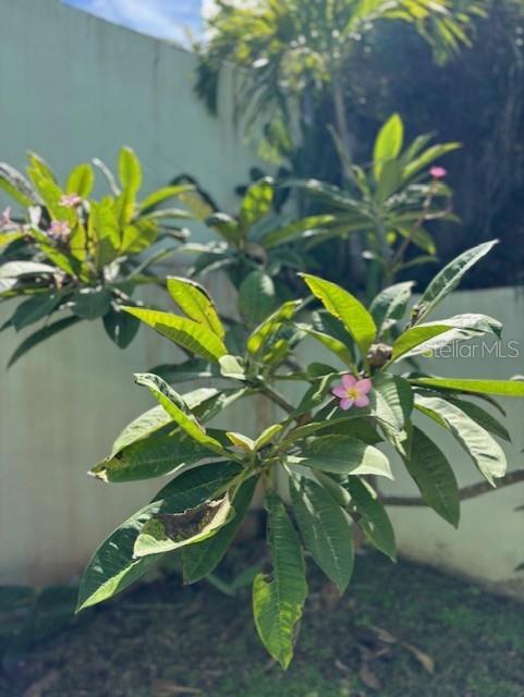 URB. ALTAMIRA - Residential