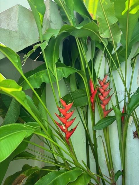 URB. ALTAMIRA - Residential