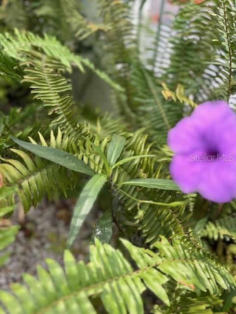 URB. ALTAMIRA - Residential