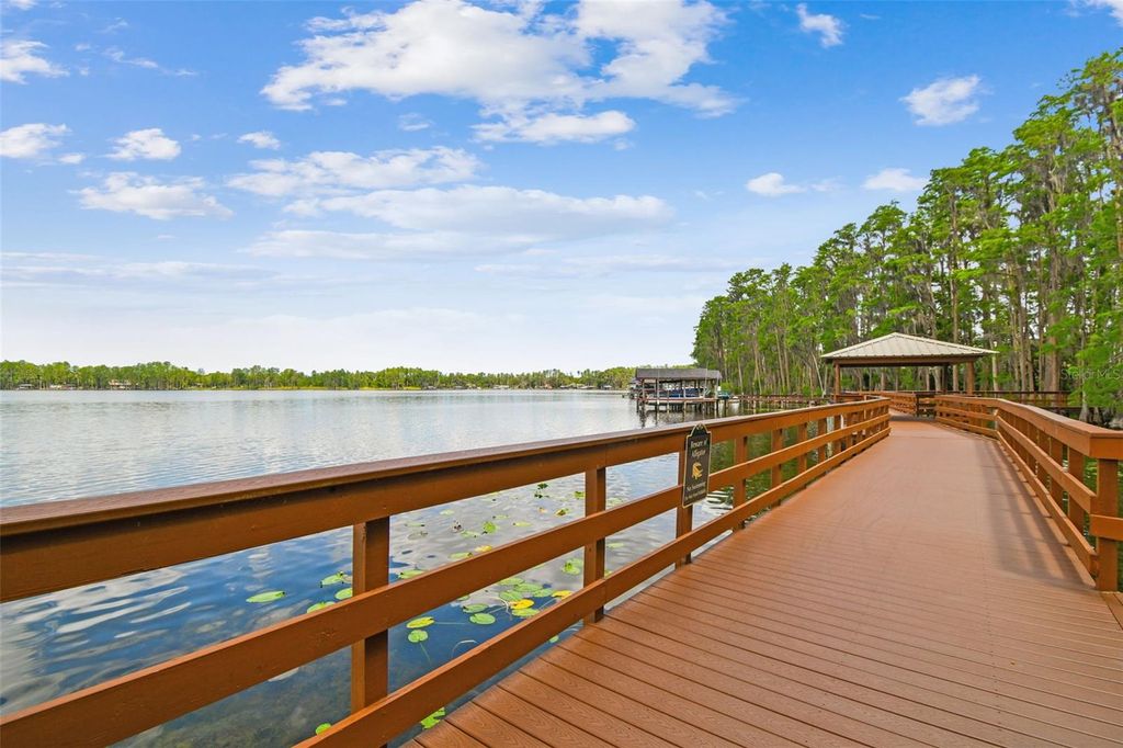 Photo of 21314 Marsh Hawk Drive, Land O Lakes, FL 34638 (MLS # W7884103)