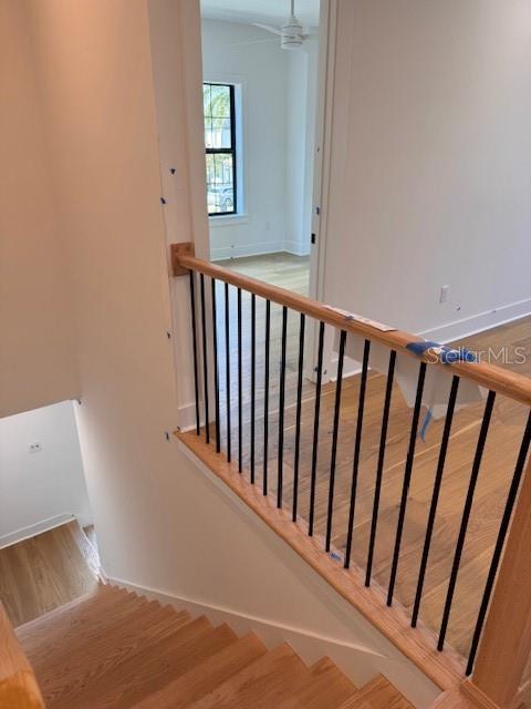 PALMA CEIA PARK - Residential