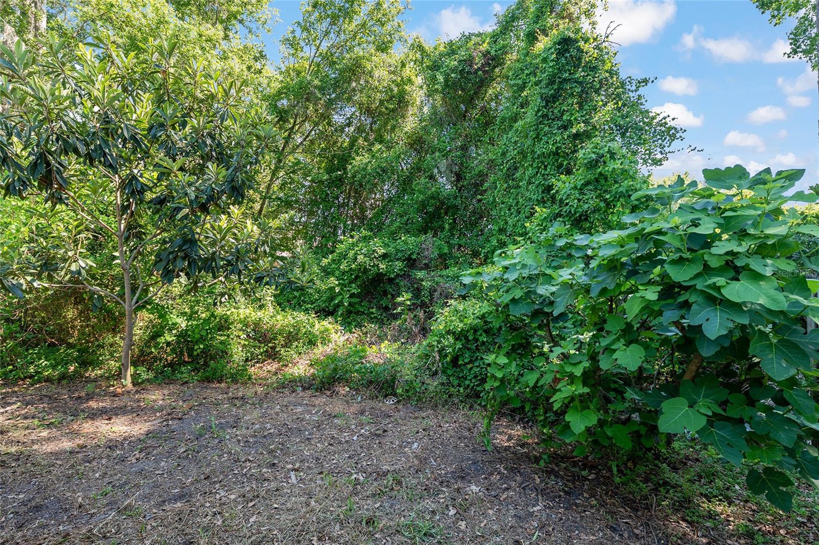 WESCHESTER CLUSTER PH 1 - Residential