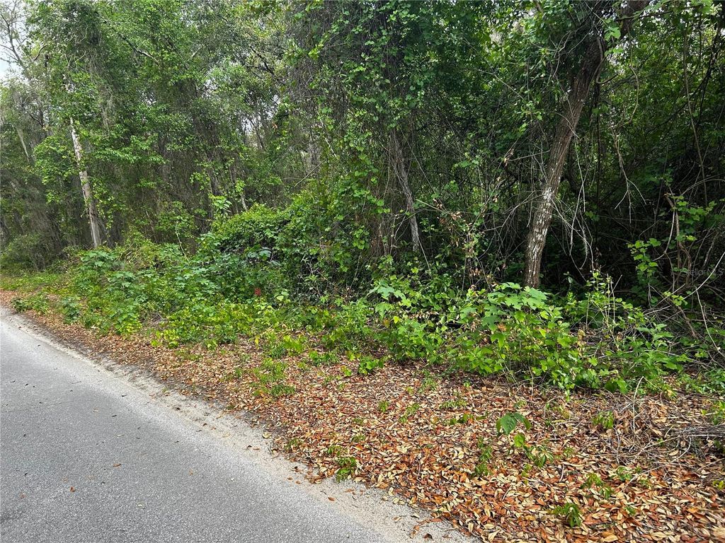 Photo of Tbd SE 52nd Place, Ocklawaha, FL 32179 (MLS # OM699911)