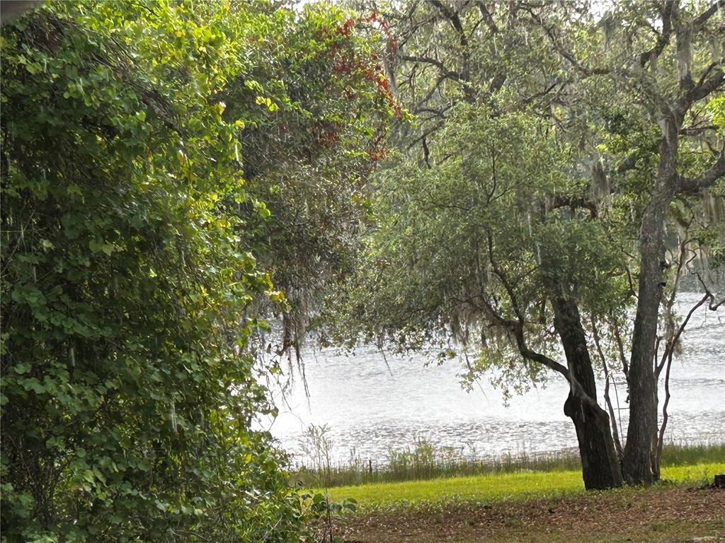 Photo of Tbd SE 52nd Place, Ocklawaha, FL 32179 (MLS # OM699911)