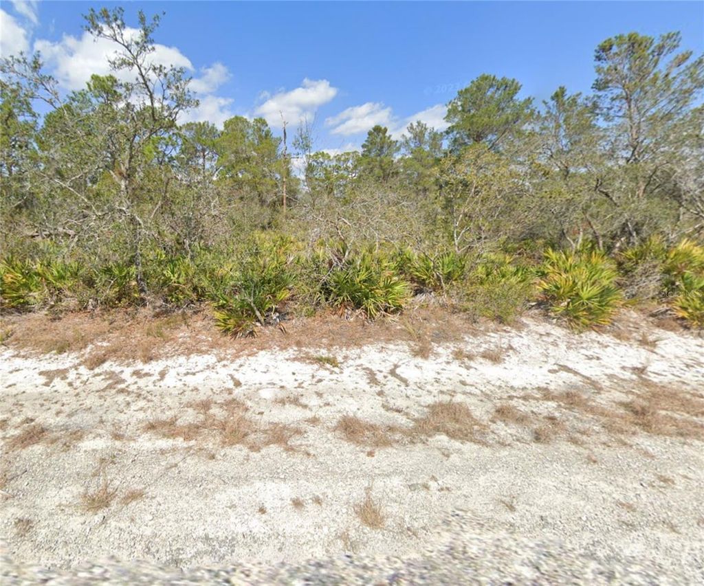 Photo of 3049 Cedar Hill Avenue, Lake Placid, FL 33852 (MLS # O6410581)