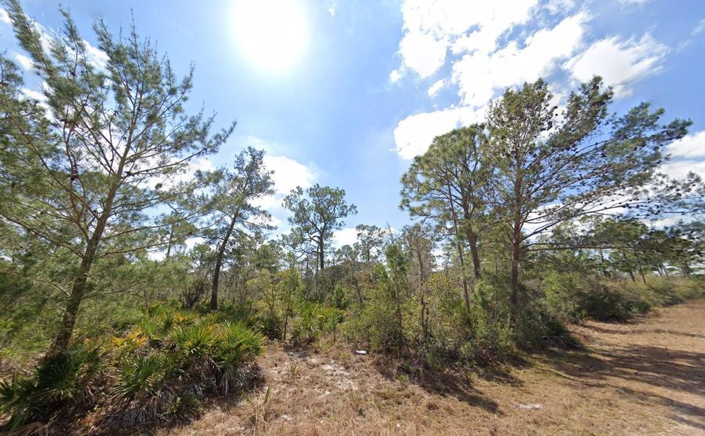 Photo of 3049 Cedar Hill Avenue, Lake Placid, FL 33852 (MLS # O6410581)