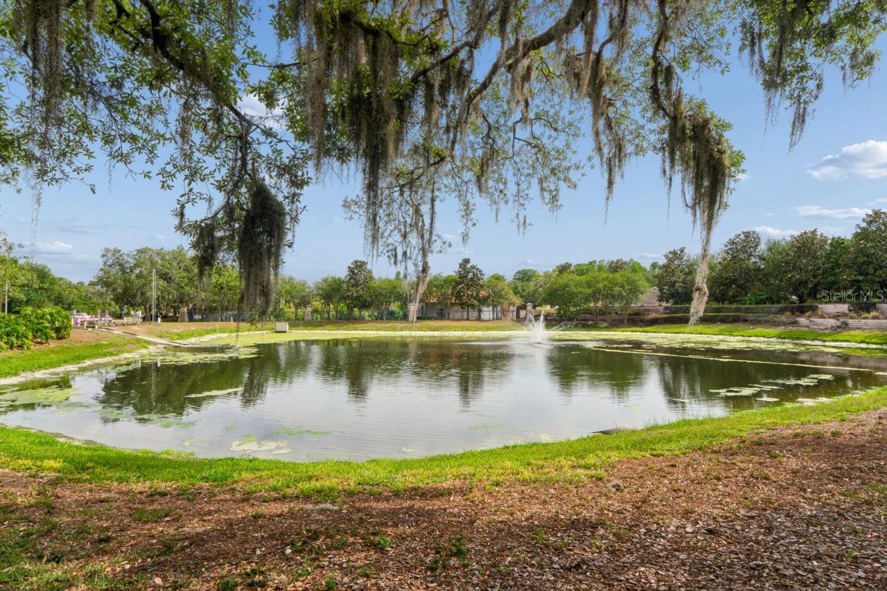 WATERS EDGE 03 - Residential