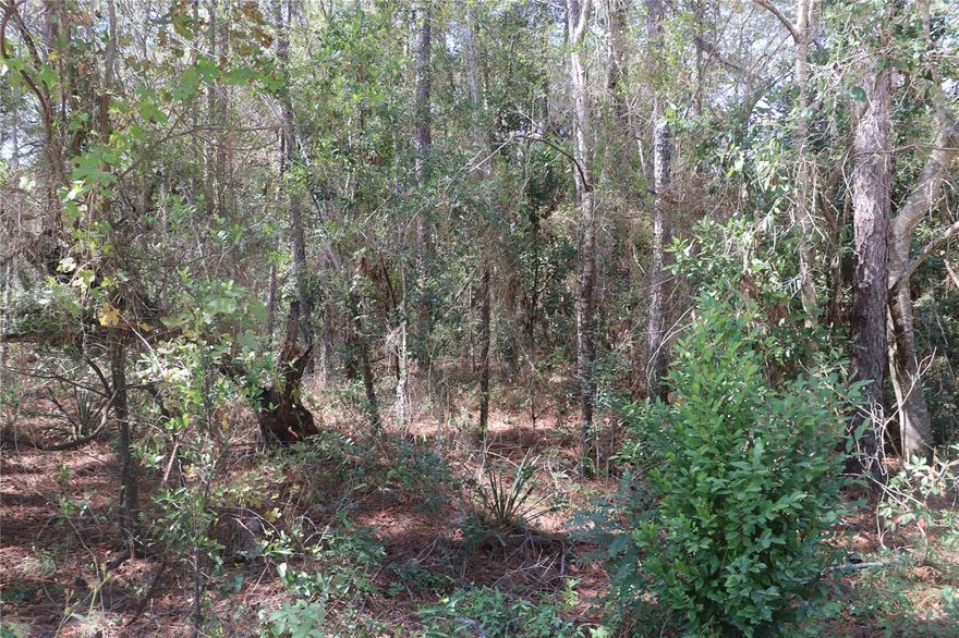 Nice flat wooded building lot. Site built or manufactured homes. Rainbow Springs State Park is within 4 miles. The world Equestrian Center is about 15 miles. Quiet area where lots are going fast. Dunnellon has a wonderful down-home feel and theirs are plenty of activities in and around Dunnellon. So beat the cold and build your new home and welcome to Dunnellon.