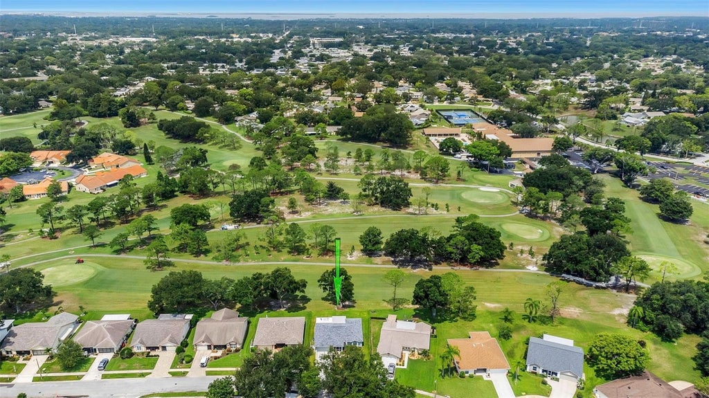 Photo of 1308 Gillespie Drive, Palm Harbor, FL 34684 (MLS # TB8533480)