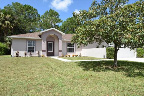 A home in PALM COAST