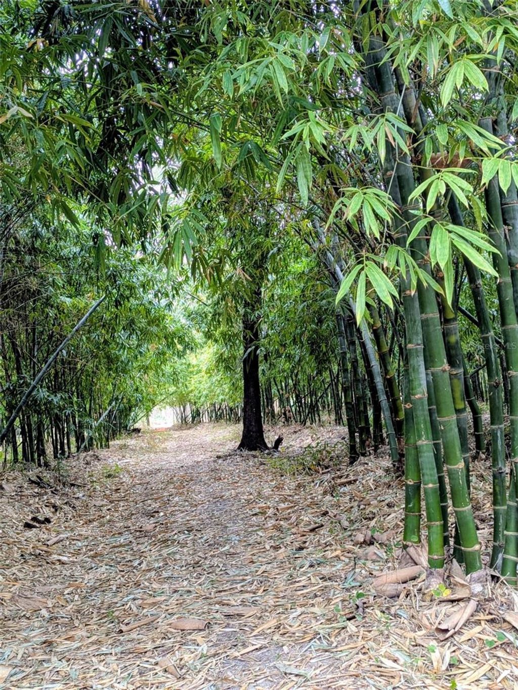 Photo of 0 Us Highway 27 Highway, Lake Wales, FL 33859 (MLS # TB8465896)