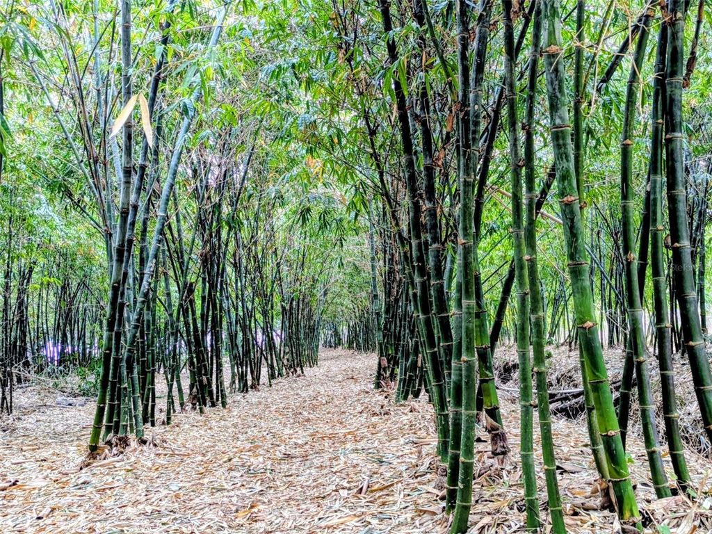 Photo of 0 Us Highway 27 Highway, Lake Wales, FL 33859 (MLS # TB8465896)