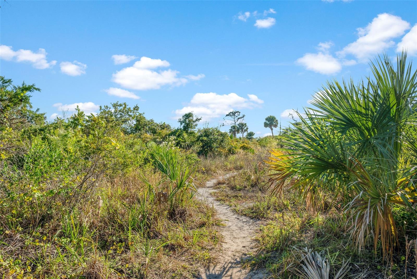 SOUTH VENICE UNIT 4 - Residential