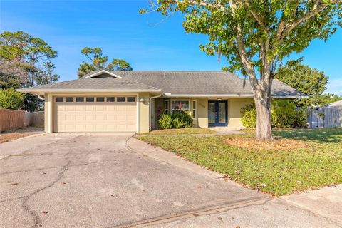 Photo of 1105 Donnell Drive, Port Orange, FL 32129 (MLS # NS1086708)