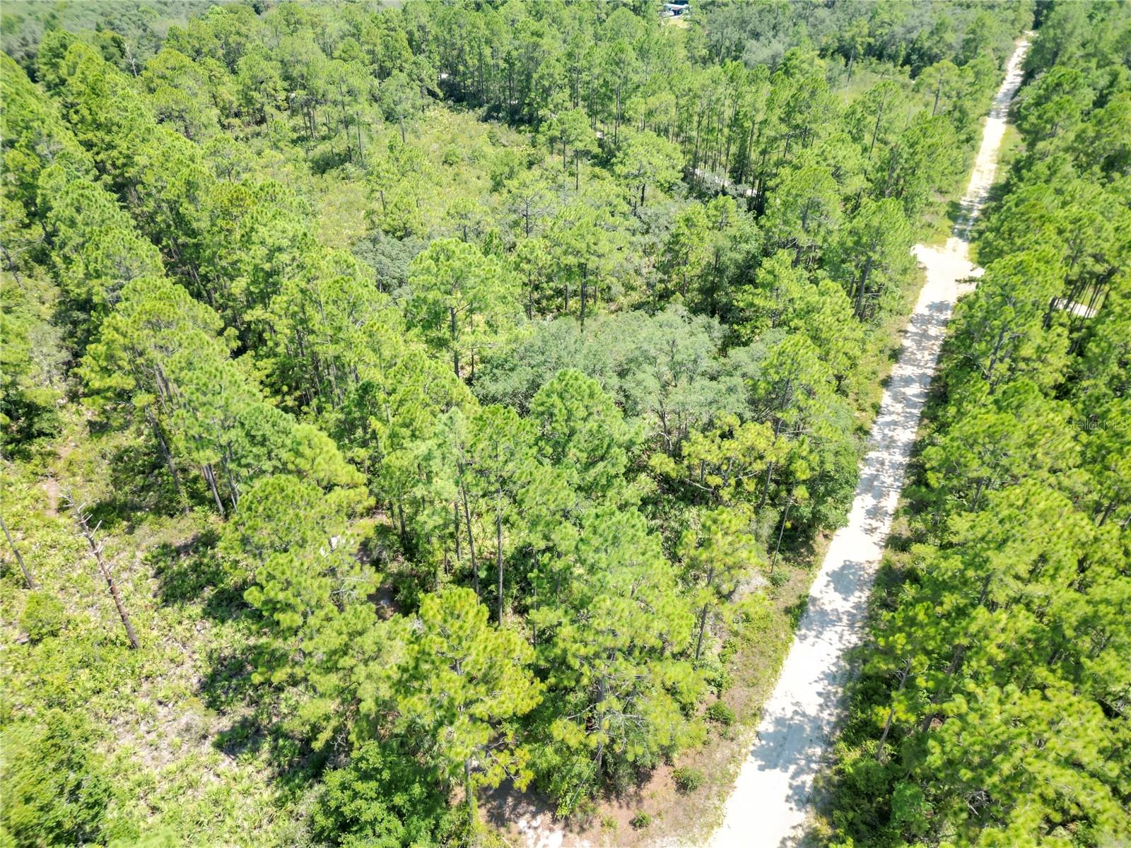 313 TALL PINE TRAIL
