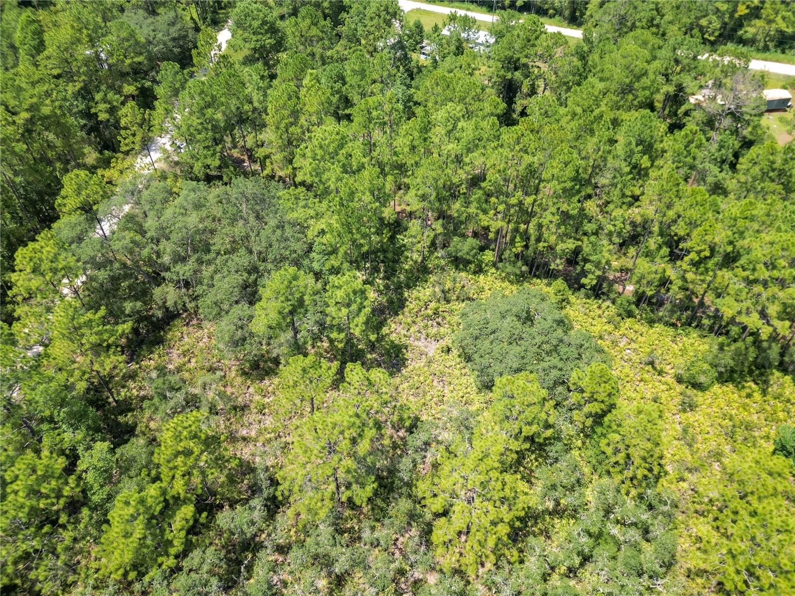313 TALL PINE TRAIL