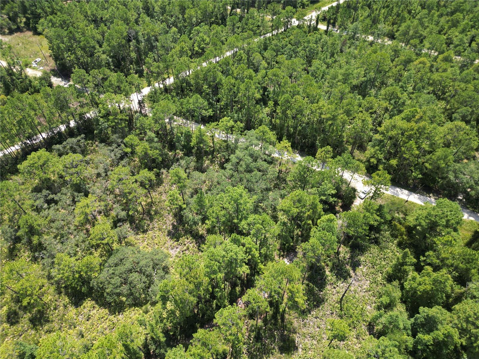 313 TALL PINE TRAIL