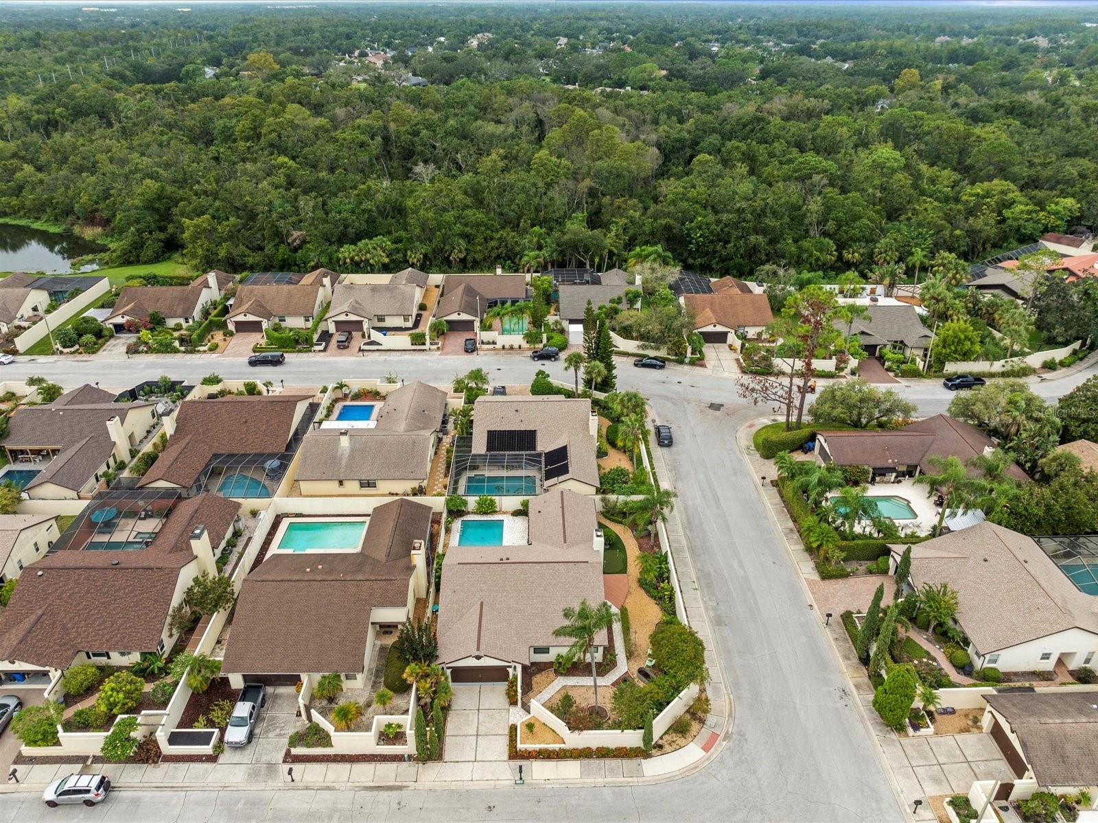 AVISTA OF CARROLLWOOD VILL - Residential