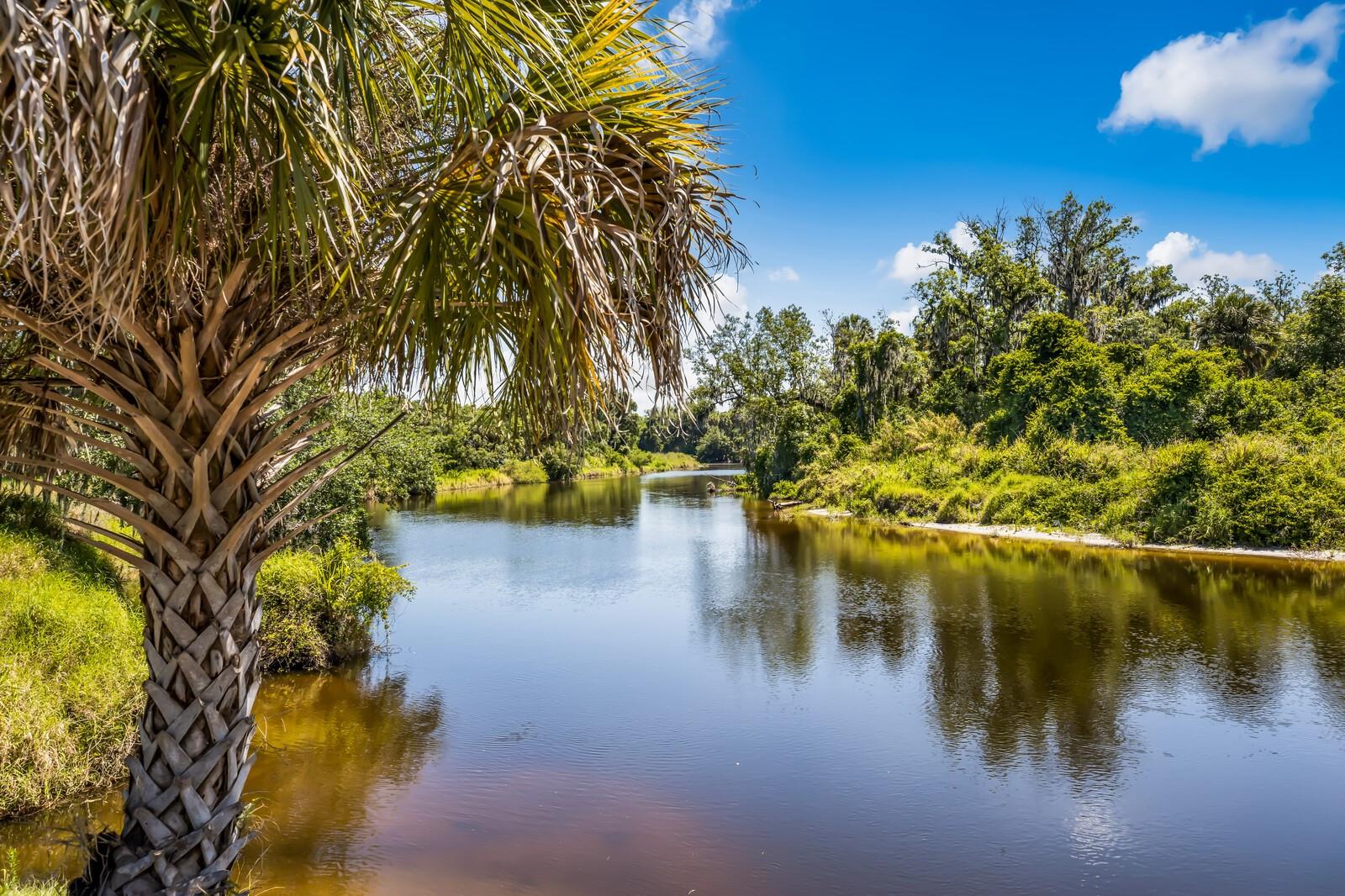 RIVERS REACH PH II - Residential