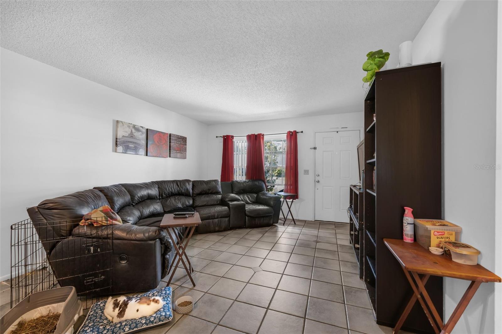 8137 and 8139 PARROT DRIVE