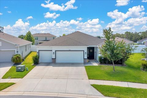 13454 GOLDEN LIME AVE SPRING HILL FL 34609