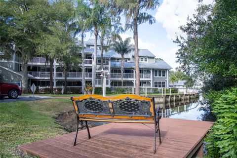2533 DOLLY BAY DRIVE 203 PALM HARBOR FL 34684
