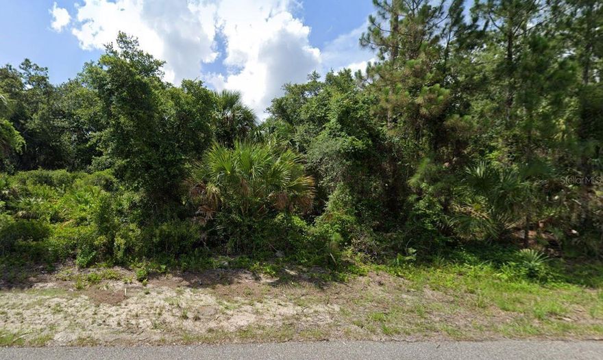 Build your home in a quiet and convenient location yet far enough away from the daily grind to be close to the conveniences we've grown accustomed to. It is also close to airports for the occasional family or friend to visit. Lot 27 and 28 are also FOR SALE, which would complete nearly .85 acres of privacy.  NO HOA to combat, so putting up a privacy fence or a live privacy fence is A-OK, park your RV or Boat on your property, and save on storage costs.    Buy one lot or all three it's up to what you want for privacy either way, get started with getting your SW Florida roots grounded and start living the good life.
Zoned single family, minimum sqft 900 must be on a permanent foundation  well/septic
