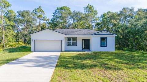 Photo of 125 Fisher Way, Ocklawaha, FL 32179 (MLS # OM707629)