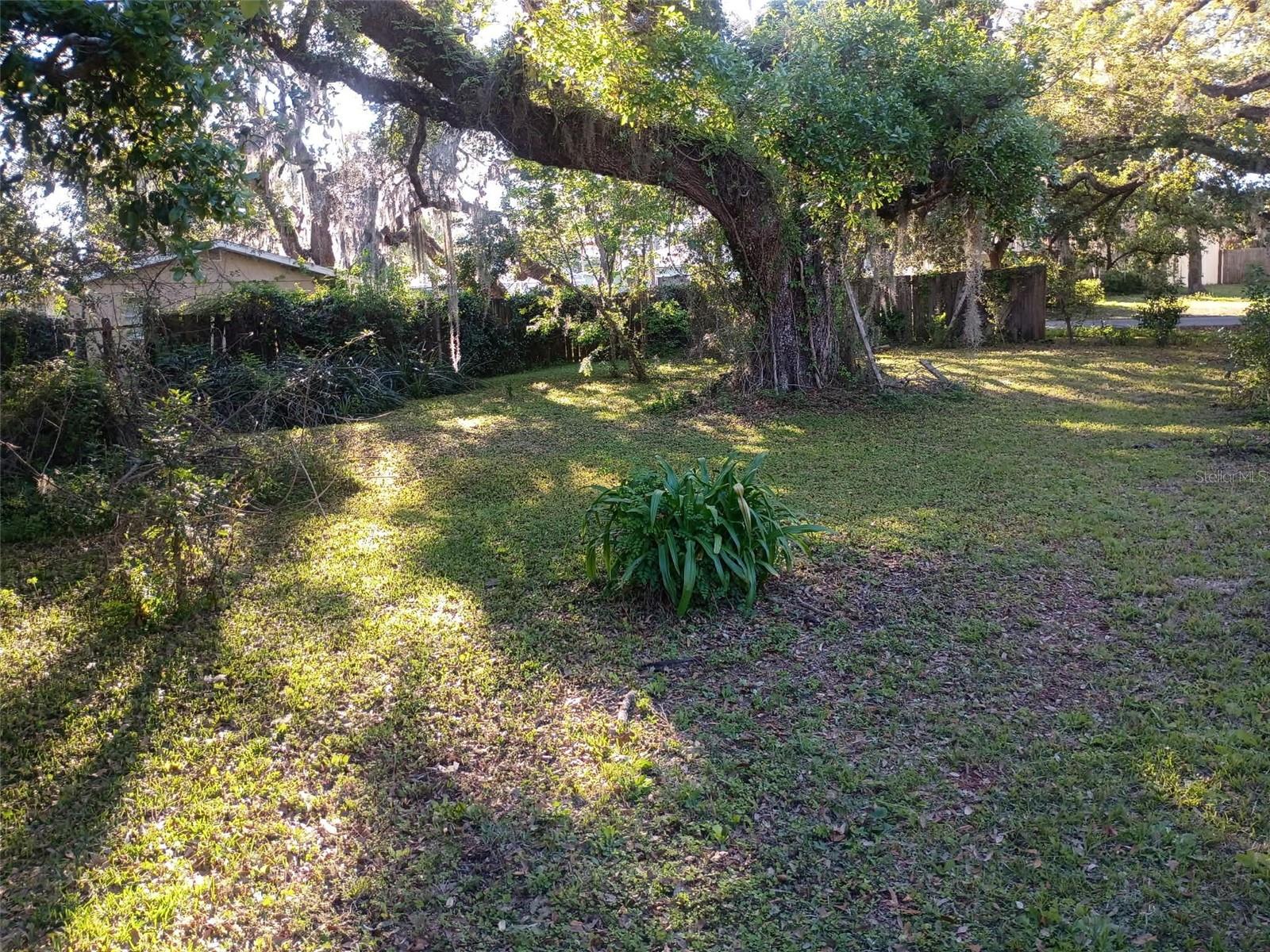 BASS LAKE ESTATES - Land