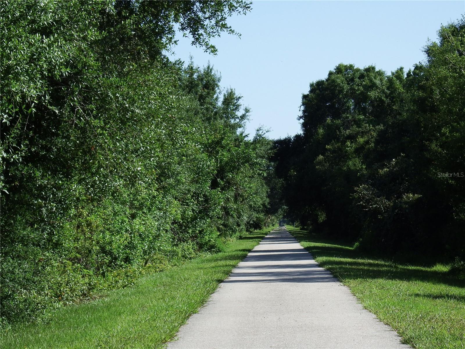 ROTONDA WEST-PINE VLY - Land