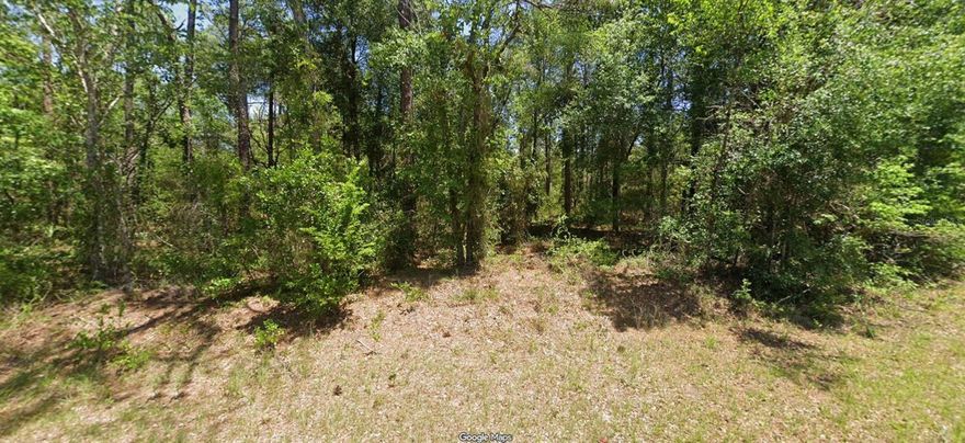 It is important to notify the Listing Agent to meet you at the property. This is 2 parcels side by side each .33 acres in size, total size is approximately .66 acres. Very quiet rural area. These properties will only sold together. The information in this listing is deemed to be correct from the sources received, however Keller Williams Cornerstone Realty and Timothy Buchanan do not guarantee the accuracy of this information. Buyer due diligence required. The price listed is for both parcels.