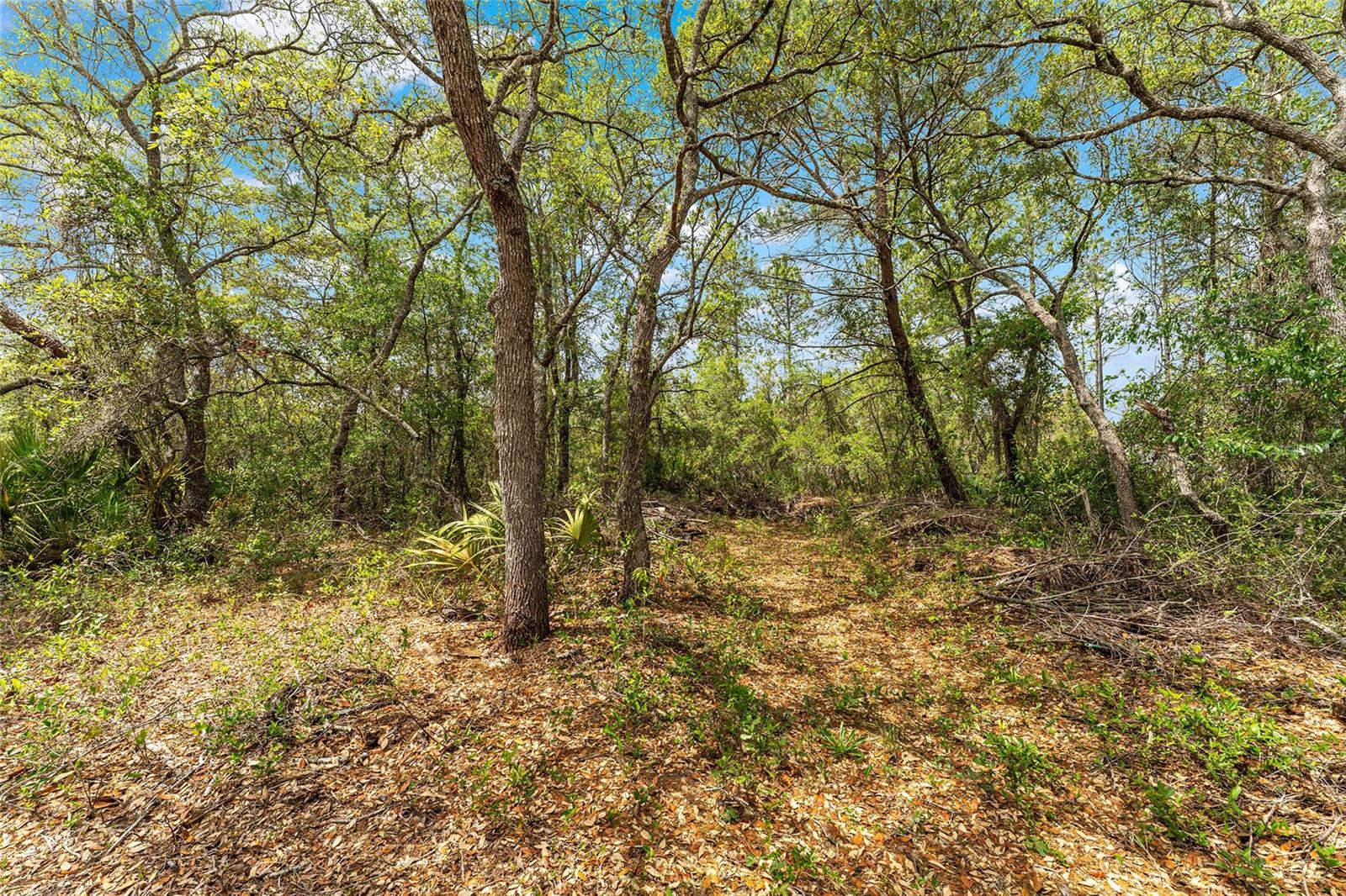 MINI FARMS UNIT 10 UNREC - Residential