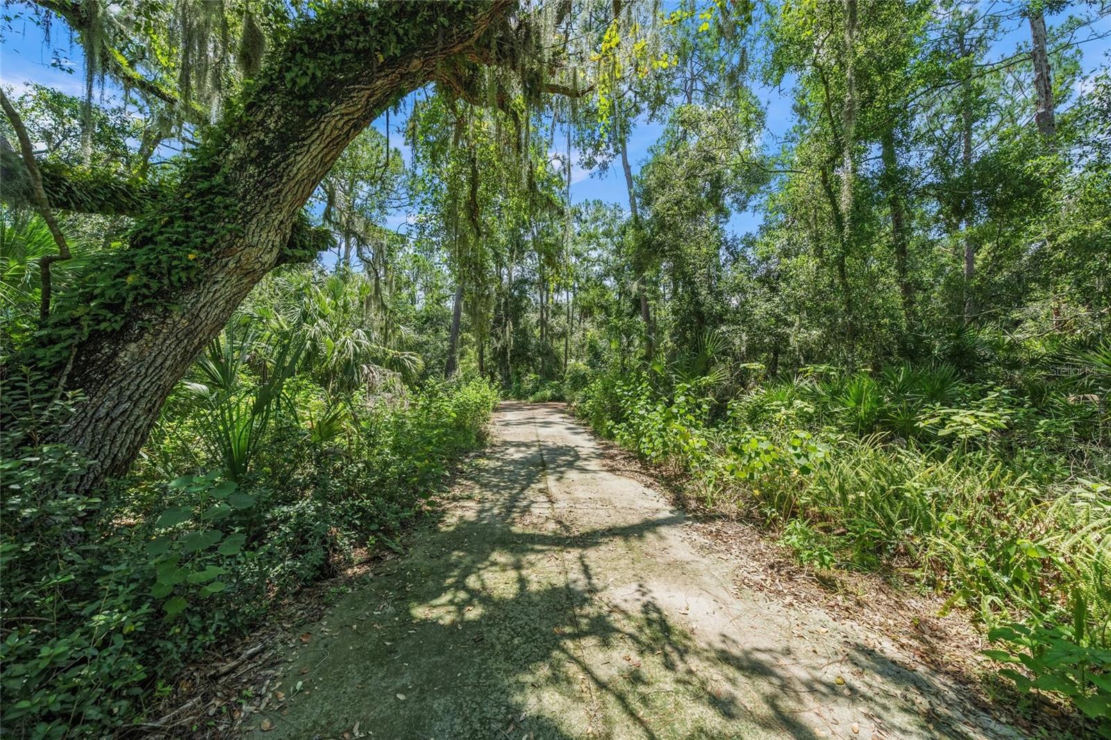 7080 WEBBER ROAD