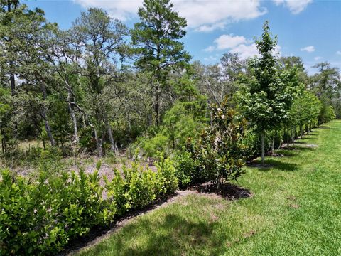 Tiny photo for 1425 Serendipity Lane, Clermont, FL 34714 (MLS # S5127261)