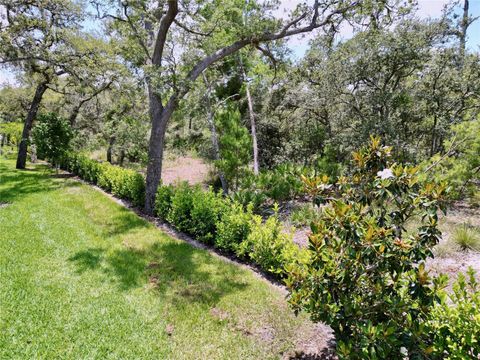 Tiny photo for 1425 Serendipity Lane, Clermont, FL 34714 (MLS # S5127261)