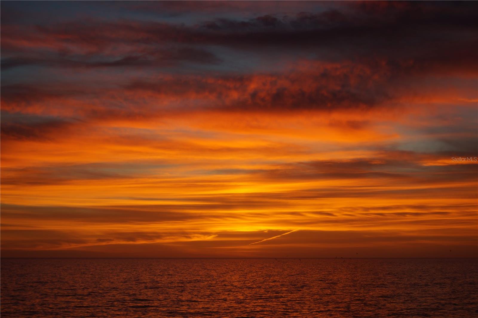 TAMARIND GULF & BAY BLDG D-1 - Residential