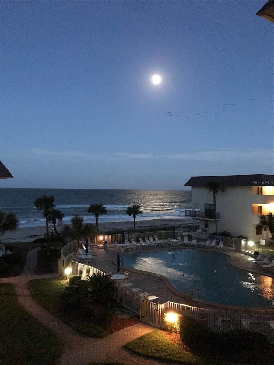 ORMOND CONDO CLUB - Residential