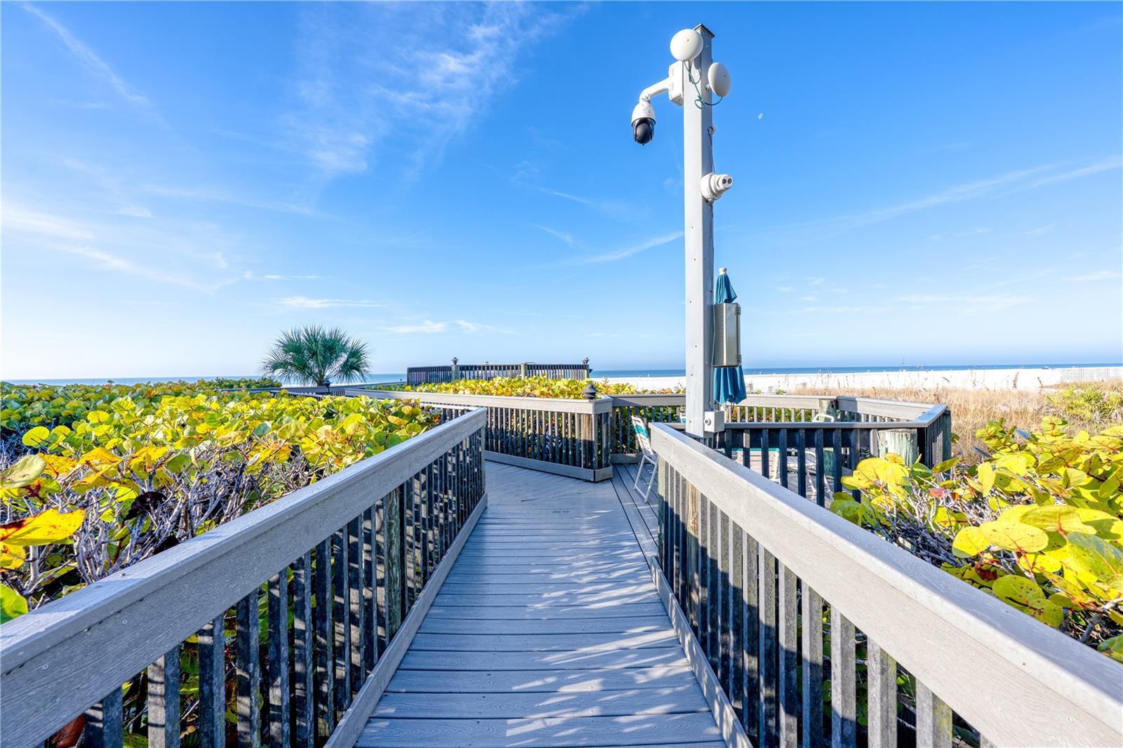 CASARINA - Residential