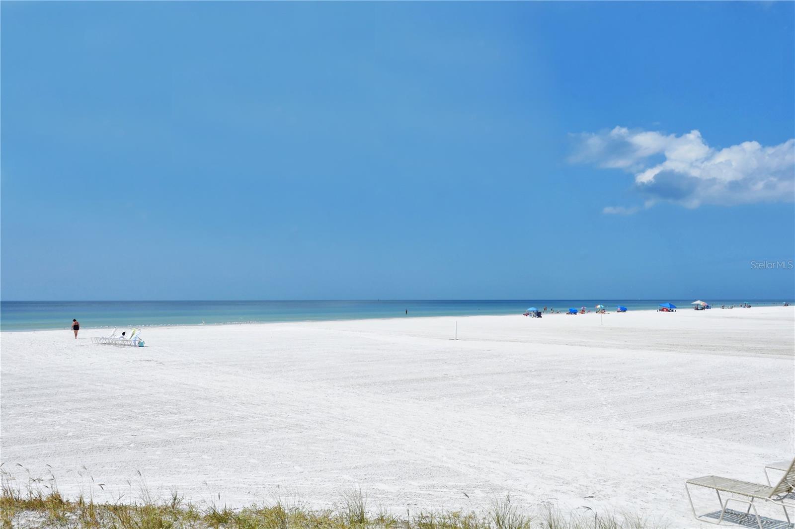 CASARINA - Residential