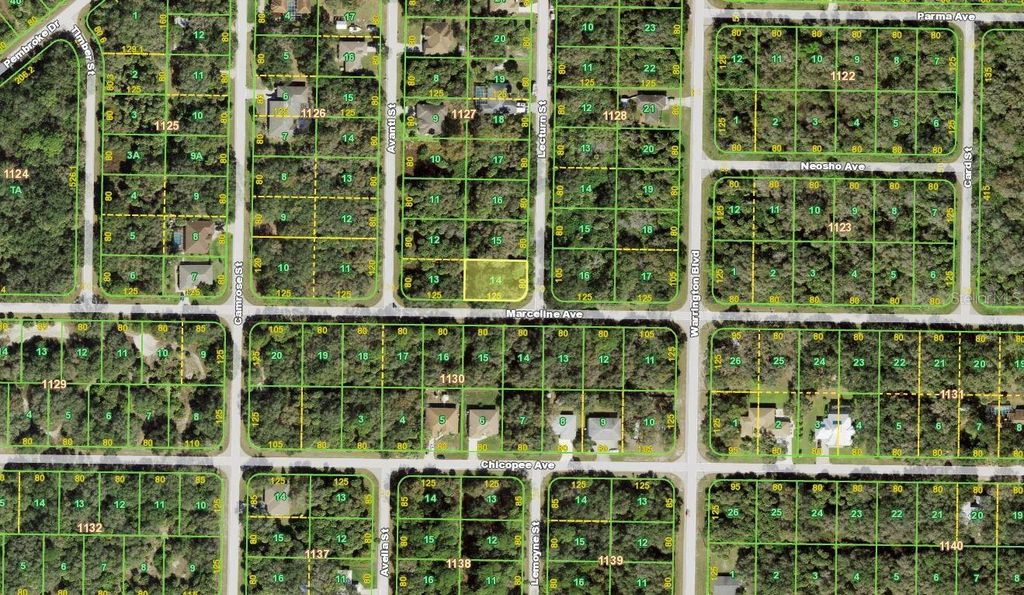 Photo of 323 Lecturn Street, Port Charlotte, FL 33954 (MLS # T3449773)