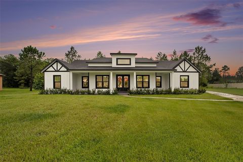 Photo of 8134 Spring Forest Lane, Wesley Chapel, FL 33544 (MLS # TB8324710)