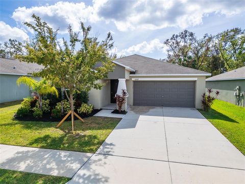 A home in RIVERVIEW