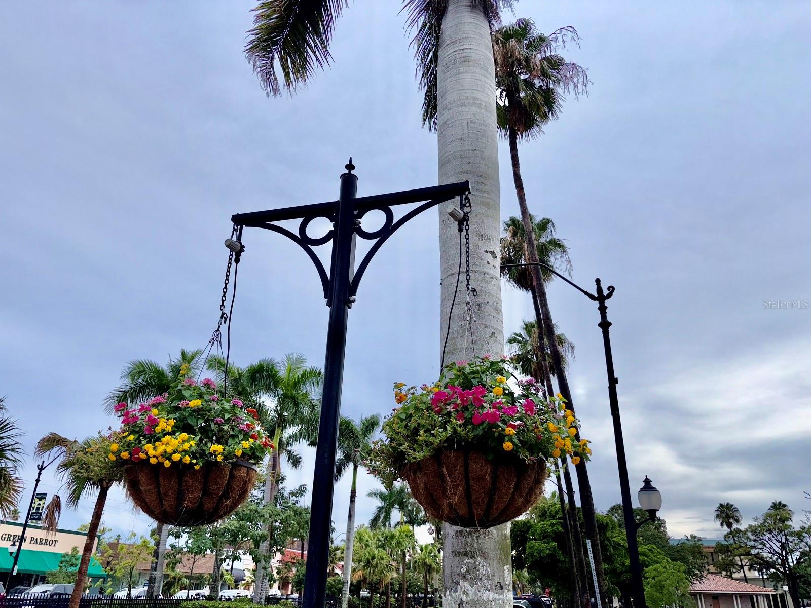 VENICE GROVES - Residential