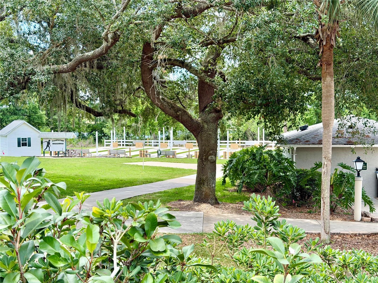 PLANTATION AT LEESBURG BELLE GROVE - Residential