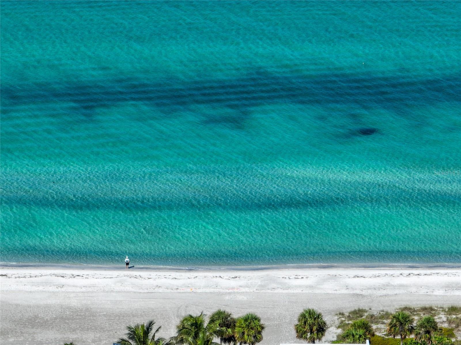 PORTOBELLO - Residential Lease