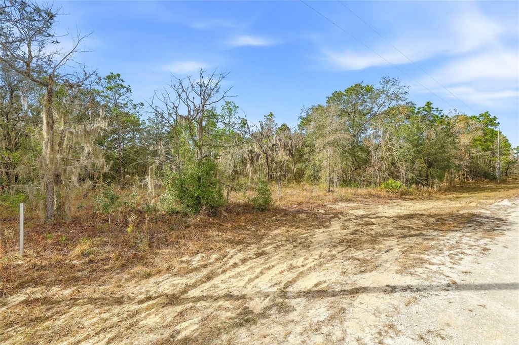 Photo of Cayman Road, Weeki Wachee, FL 34614 (MLS # W7882949)