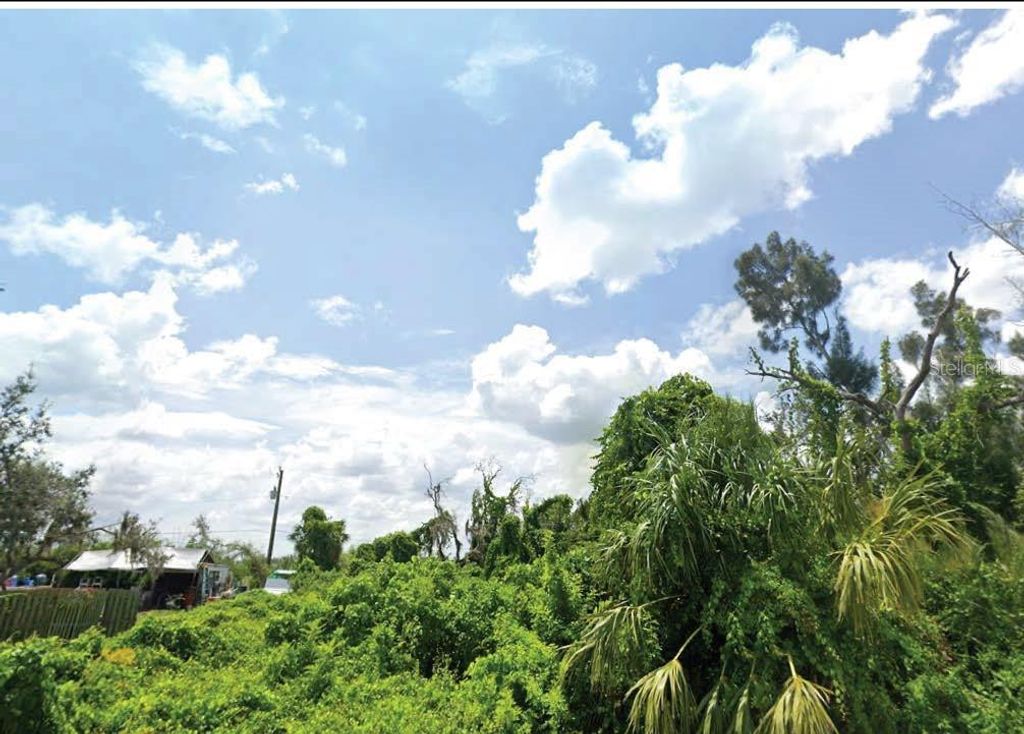 Photo of 30361 Holly Road, Punta Gorda, FL 33982 (MLS # O6279475)