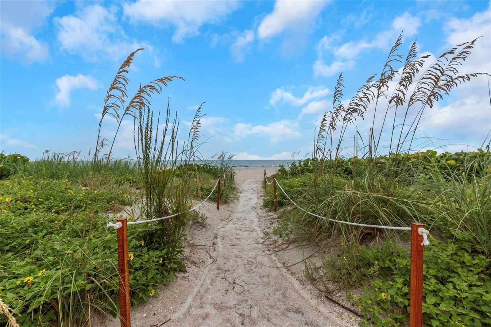 SAND KEY CONDO-SOUTH BEACH - Residential