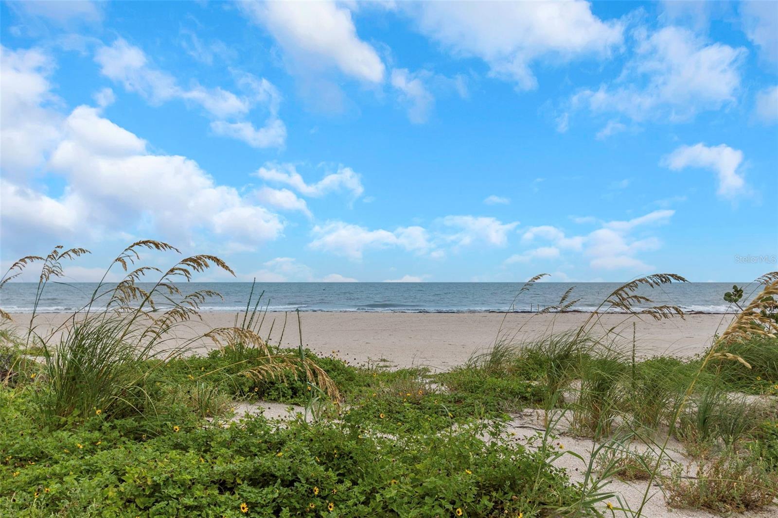 SAND KEY CONDO-SOUTH BEACH - Residential